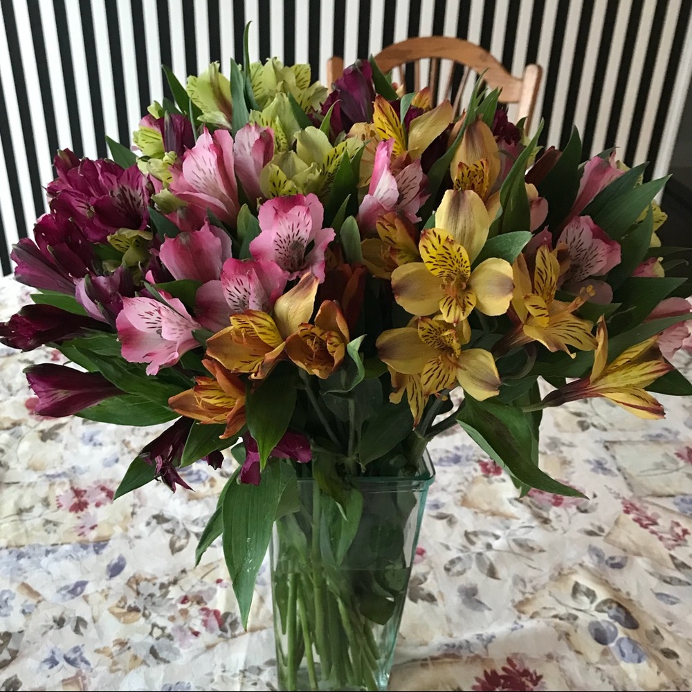 Meet your Posher, Ginger